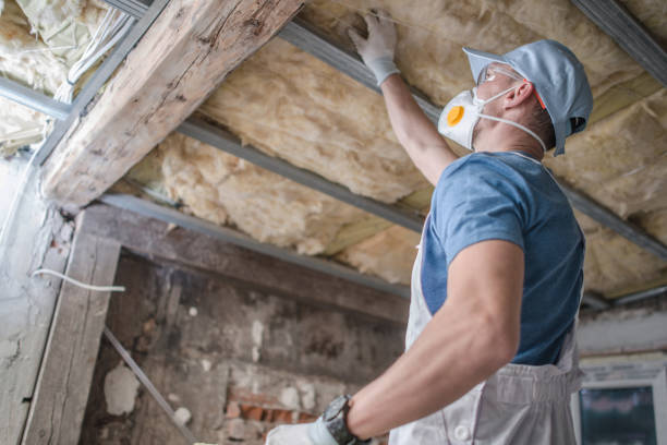 Best Insulation for Specific Applications in Browntown, PA